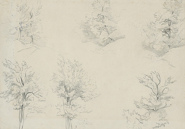 Ladislav Mednyánszky – Štúdia stromov 