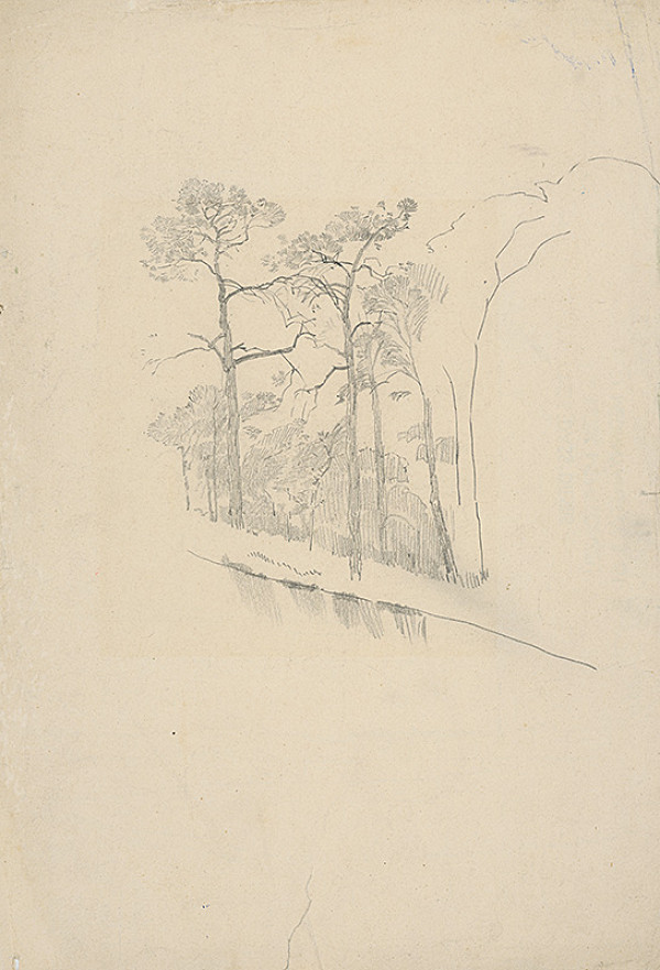 Ladislav Mednyánszky – Štúdia borovicového lesa 