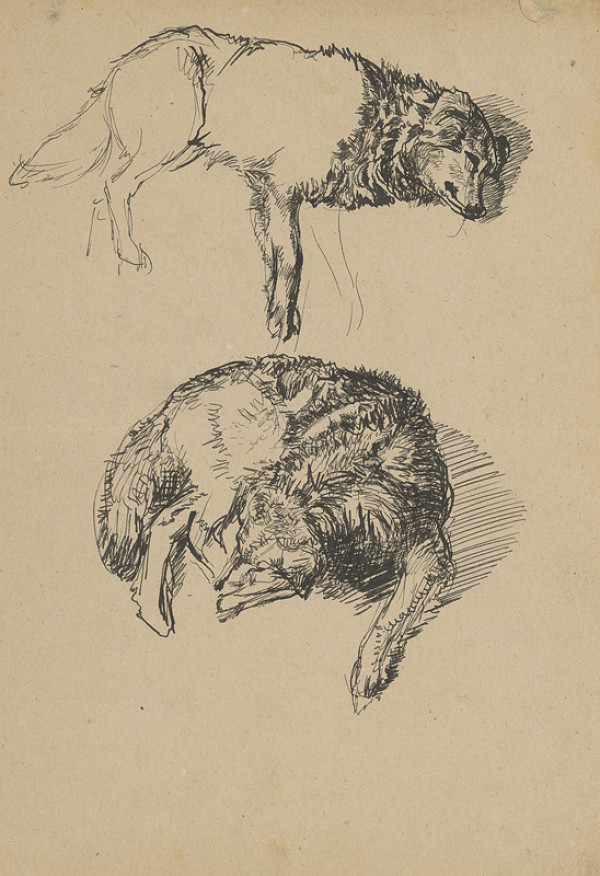 Peter Július Kern – Štúdia psov 