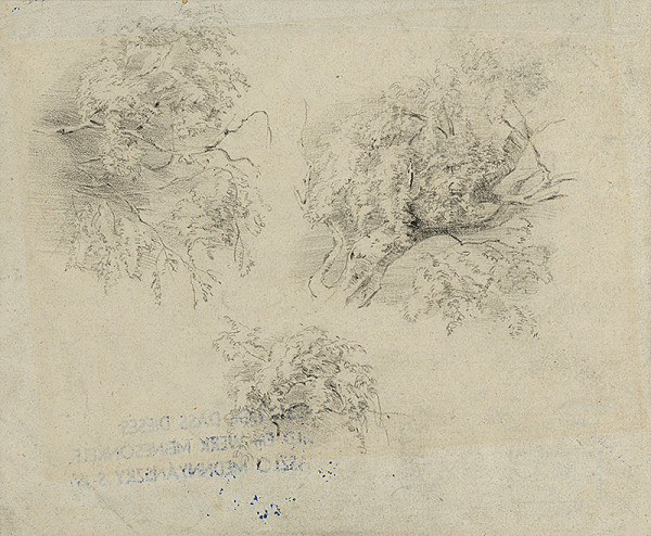 Ladislav Mednyánszky – Štúdia korún stromov 