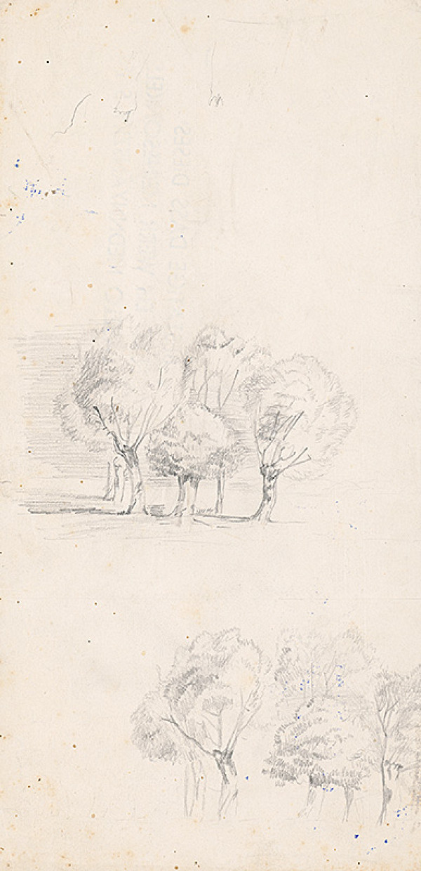 Ladislav Mednyánszky – Štúdia skupiny stromov 