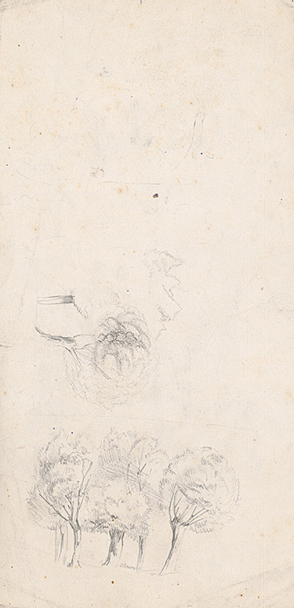 Ladislav Mednyánszky – Štúdia skupiny stromov 