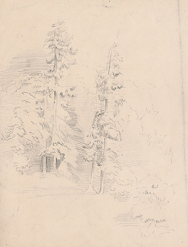 Ladislav Mednyánszky – Štúdia stromov 