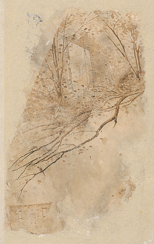 Ladislav Mednyánszky – Štúdia chlapca 