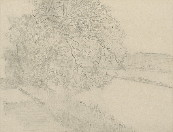 Ladislav Mednyánszky – Štúdia krajiny so stromom 