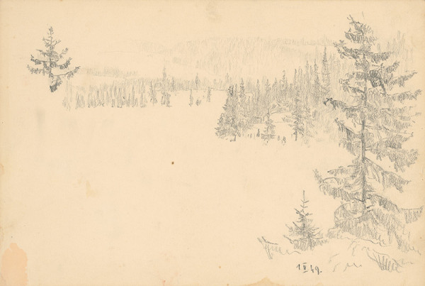 Peter Július Kern – Štúdia lesa 