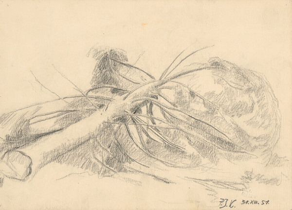 Peter Július Kern – Zoťatý strom 