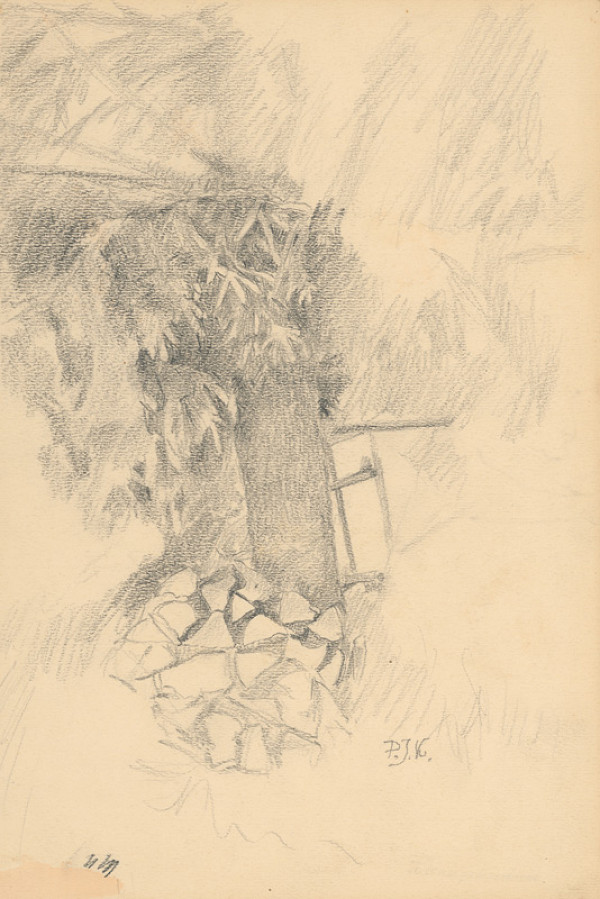 Peter Július Kern – Štúdia stromu a kameňov 