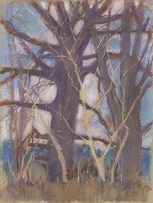 Zolo Palugyay – Stromy 