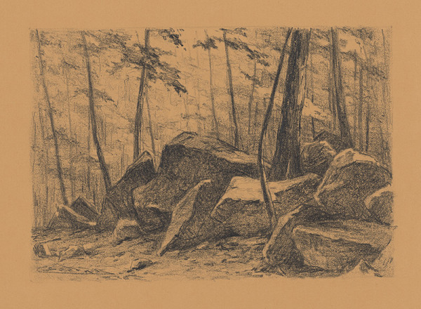 Ľudovít Čordák – Štúdia lesa 