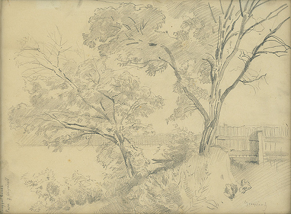 Ladislav Mednyánszky – Štúdia stromov 