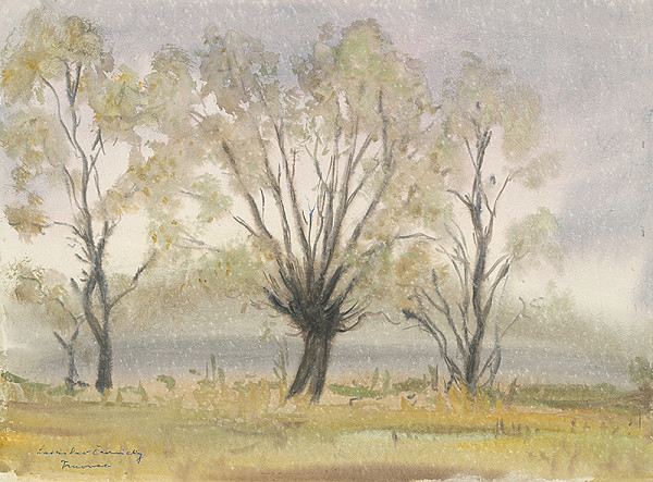 Ladislav Čemický – V daždi 