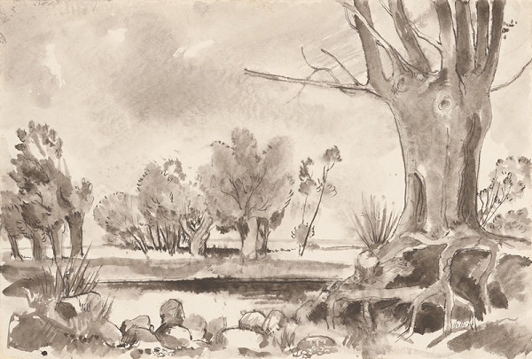 Anton Hollý – Závan 