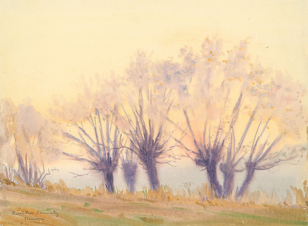 Ladislav Čemický – Fialové vŕby 