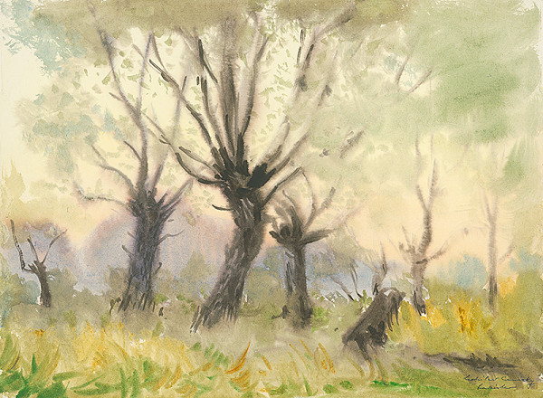 Ladislav Čemický – Pred súmrakom 