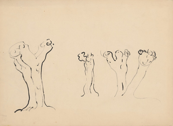 Miloš Alexander Bazovský – Štúdia vŕb 