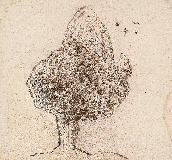 Miloš Alexander Bazovský – Strom a vtáci 