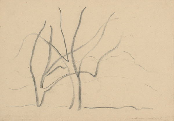 Miloš Alexander Bazovský – Náčrt stromov 