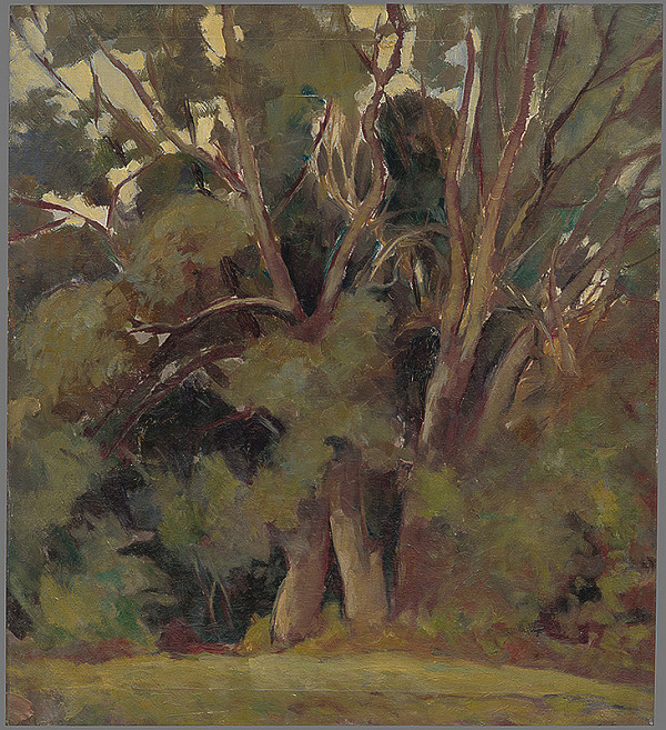 Zolo Palugyay – Stromy 