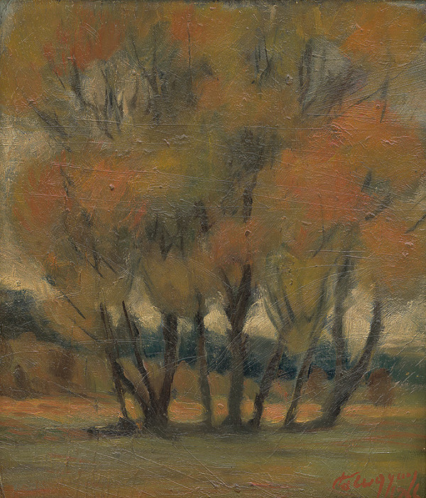 Zolo Palugyay – Stromy 