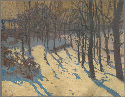 Alois Kalvoda – Zimné slnko 