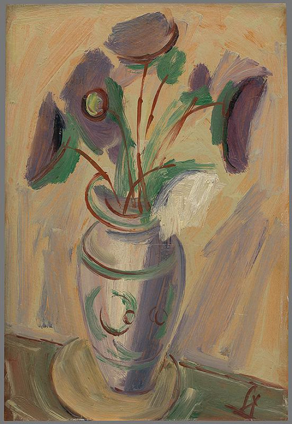 František Studený – Astry jemné 