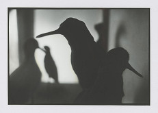 Peter Župník – Pozorovatelia 