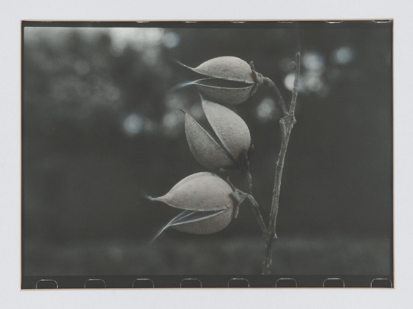 Peter Župník – Tri 