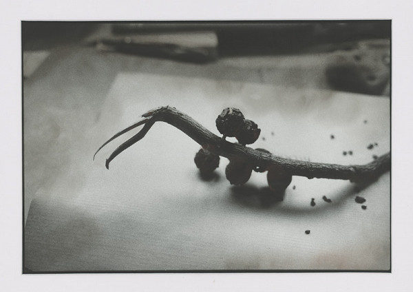 Peter Župník – Strážca územia 