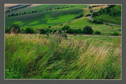 Janusz Moniatowicz – Spišská krajina 