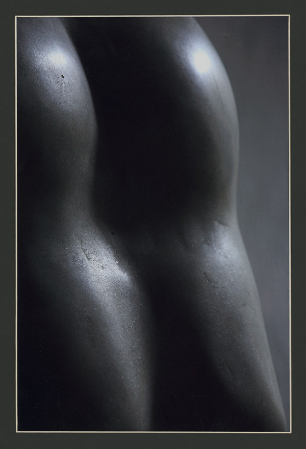 Janusz Moniatowicz – Torzo 