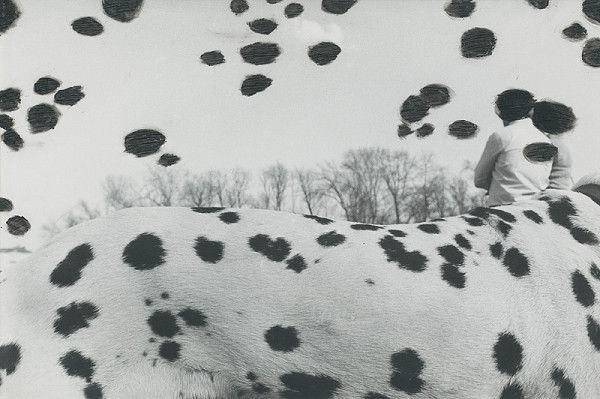 Peter Župník – Dogs day 