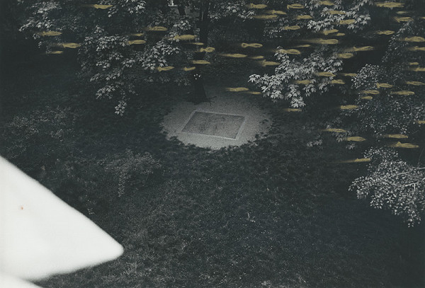 Peter Župník – Sen o reálnych rybkách 