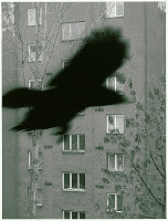 Vlado Eliáš – Bird 