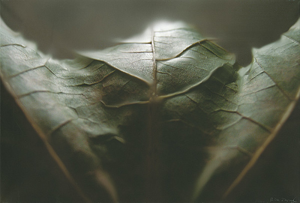 Peter Župník – Magic 