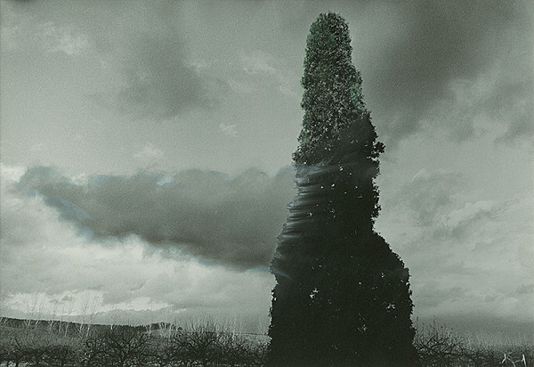 Peter Župník – Jemný dotyk I. 