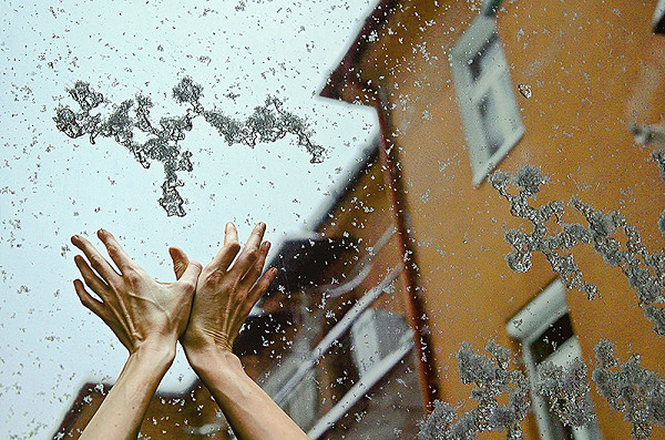 Monika Stacho – Bez názvu II. 