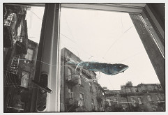 Peter Župník – Oklamaná ryba 