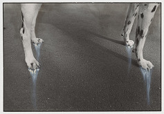 Peter Župník – Stabilita 