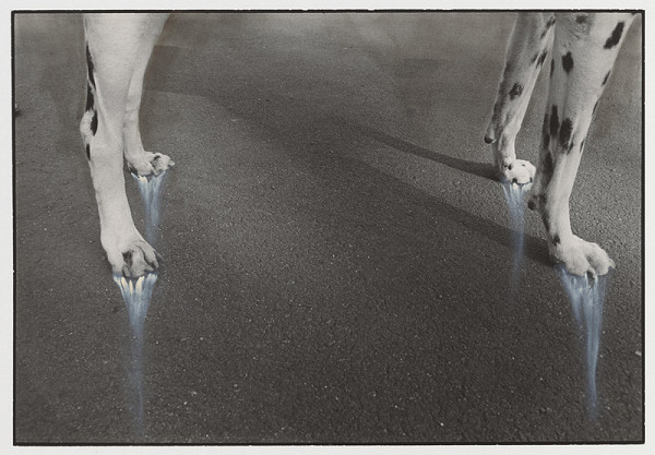 Peter Župník – Stabilita 