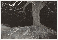 Peter Župník – Requiem 