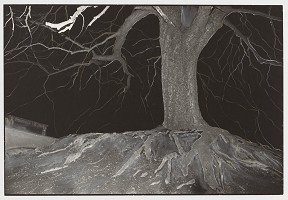 Peter Župník – Requiem 