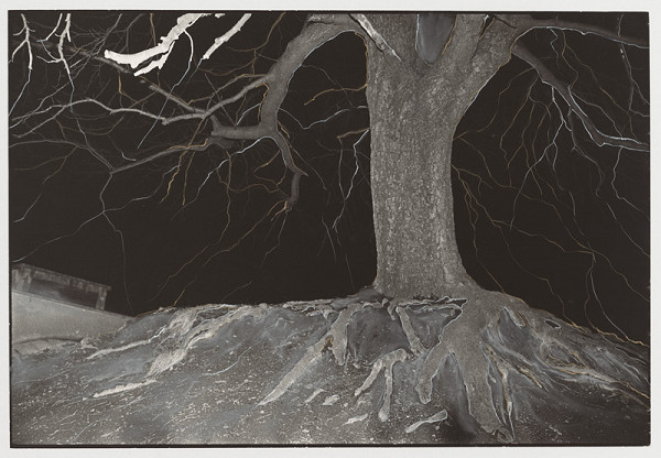 Peter Župník – Requiem 