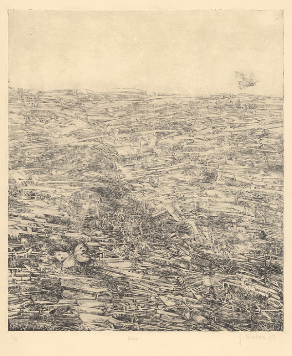 Jana Kiselová-Siteková – Zem 