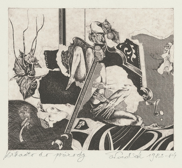 Emil Sedlák – Zrkadlo do prírody 