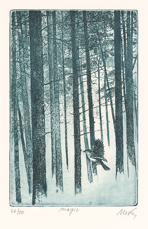 Mikuláš Kravjanský – Mágia 