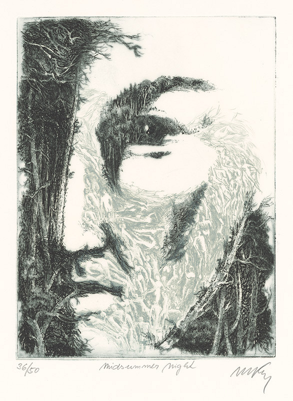 Mikuláš Kravjanský – Svätojánska noc