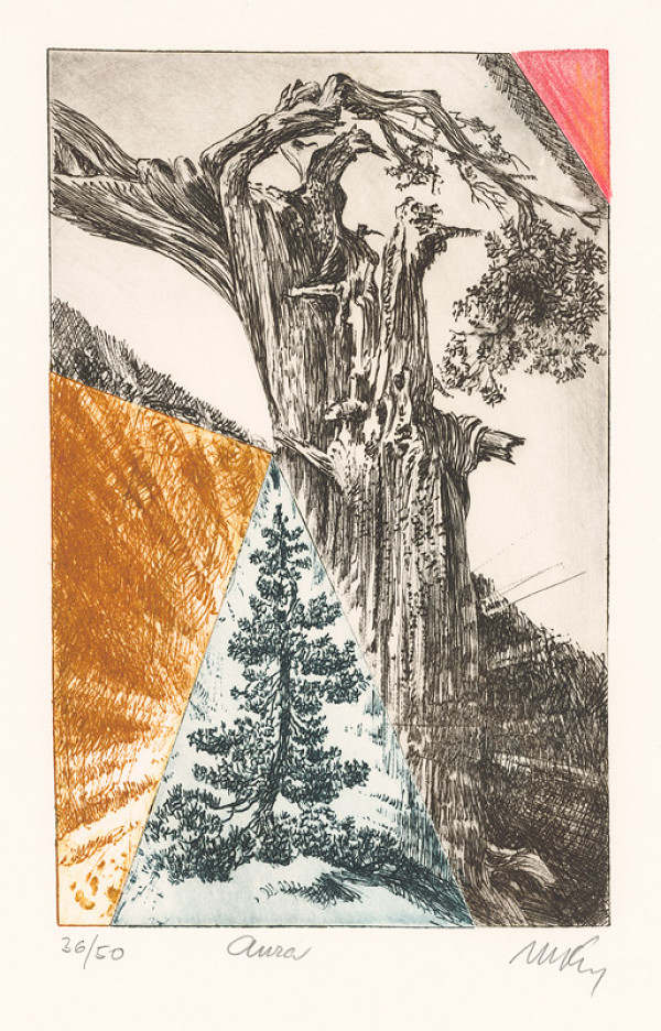 Mikuláš Kravjanský – Aura 