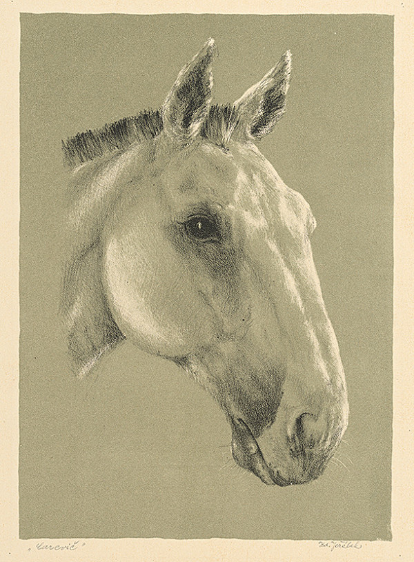 Zdeněk Jeřábek – Carevič 