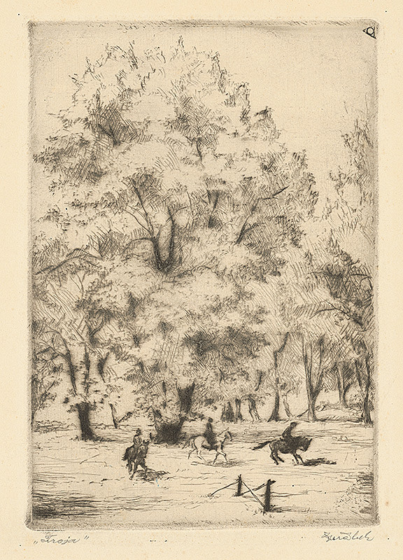 Zdeněk Jeřábek – Trója 